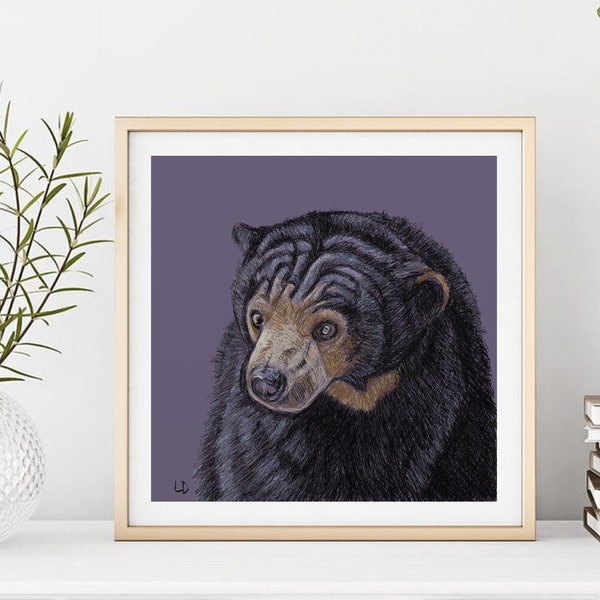 Sun Bear Art Etsy