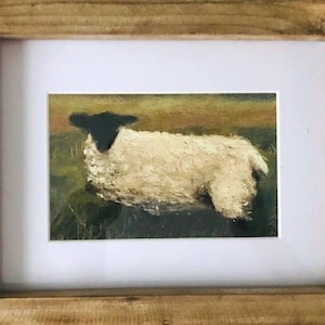Framed Limited Edition Print: &quot;Curious Sheep&quot;