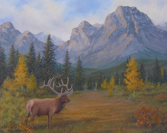 Bow Valley Bull Elk