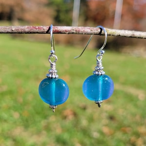 Lampwork Glass Bead Earrings
