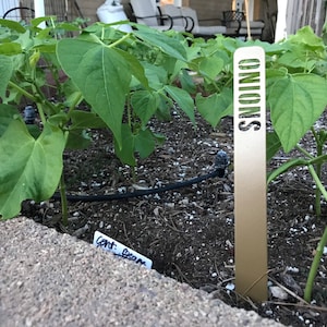 K&ouml;nnte beinhalten: Ein goldener Gartenmarker aus Metall mit dem Wort "ONIONS" vertikal darauf geschrieben. Der Marker befindet sich in einem Gartenbeet mit gr&uuml;nen Pflanzen.