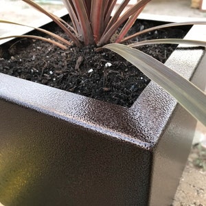 May include: A square, dark brown planter with a textured finish. A red-leaved plant is growing in the planter.