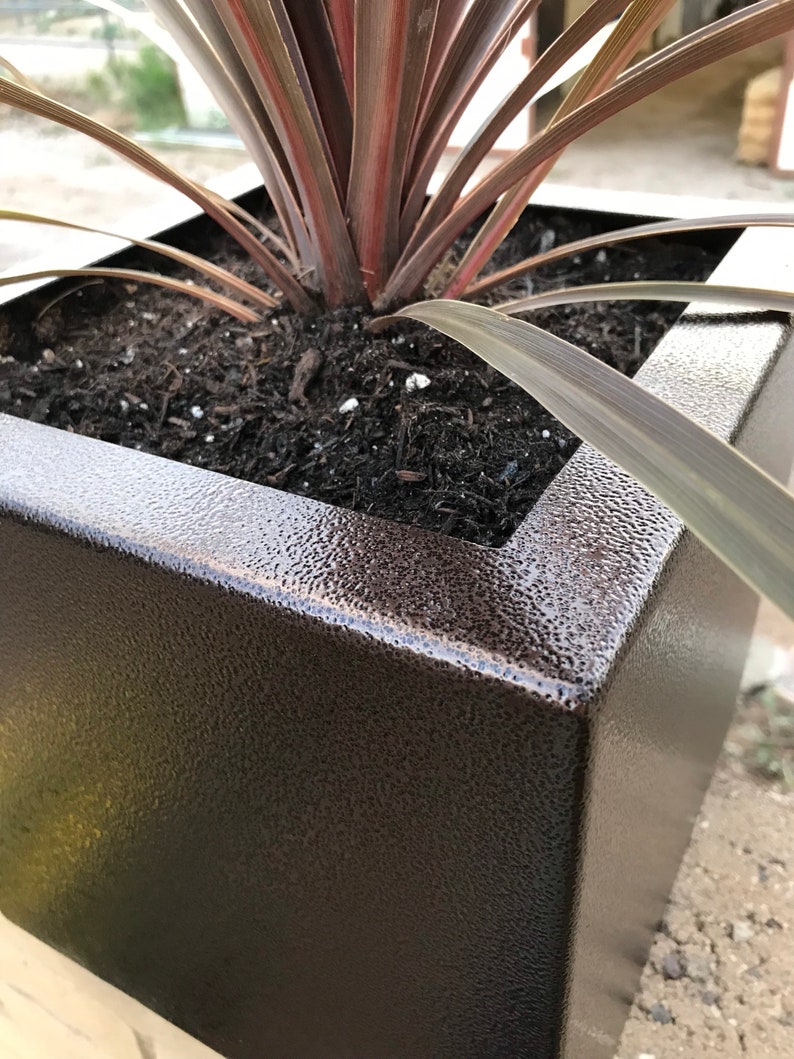 May include: A square, dark brown planter with a textured finish. A red-leaved plant is growing in the planter.