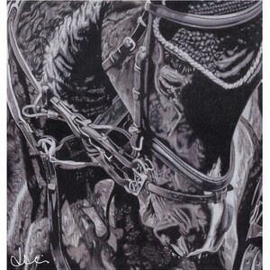Horse Art Print Eventing Giclee