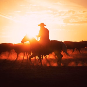Western Art Cowboy Rinder bei Sonnenuntergang Fine Art Fotodruck