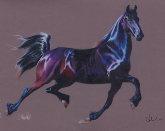 Friesian Horse Young Mare Original Colored Pencil Portrait