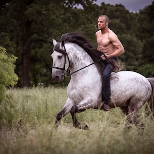 Horseman and Andalusian Stallion Fine Art Photography Print