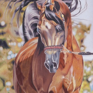 Horse Art Print Arabian Stallion Giclee