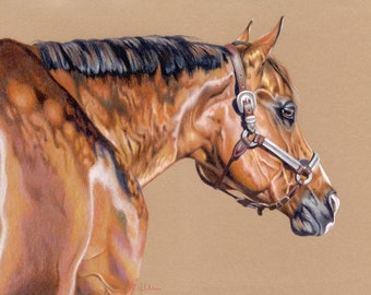 Retrato original de lápiz de color Quarter Horse