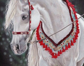 Gray Arabian Horse Original Colored Pencil Portrait