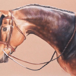 Horse Art Print Hunter Jumper Giclee