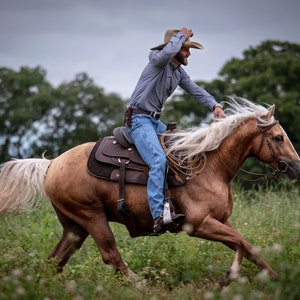 Cowboy & His Stallion Fine Art Photography Print