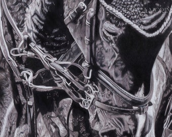 Equestrian Eventing Framed Original Colored Pencil Portrait