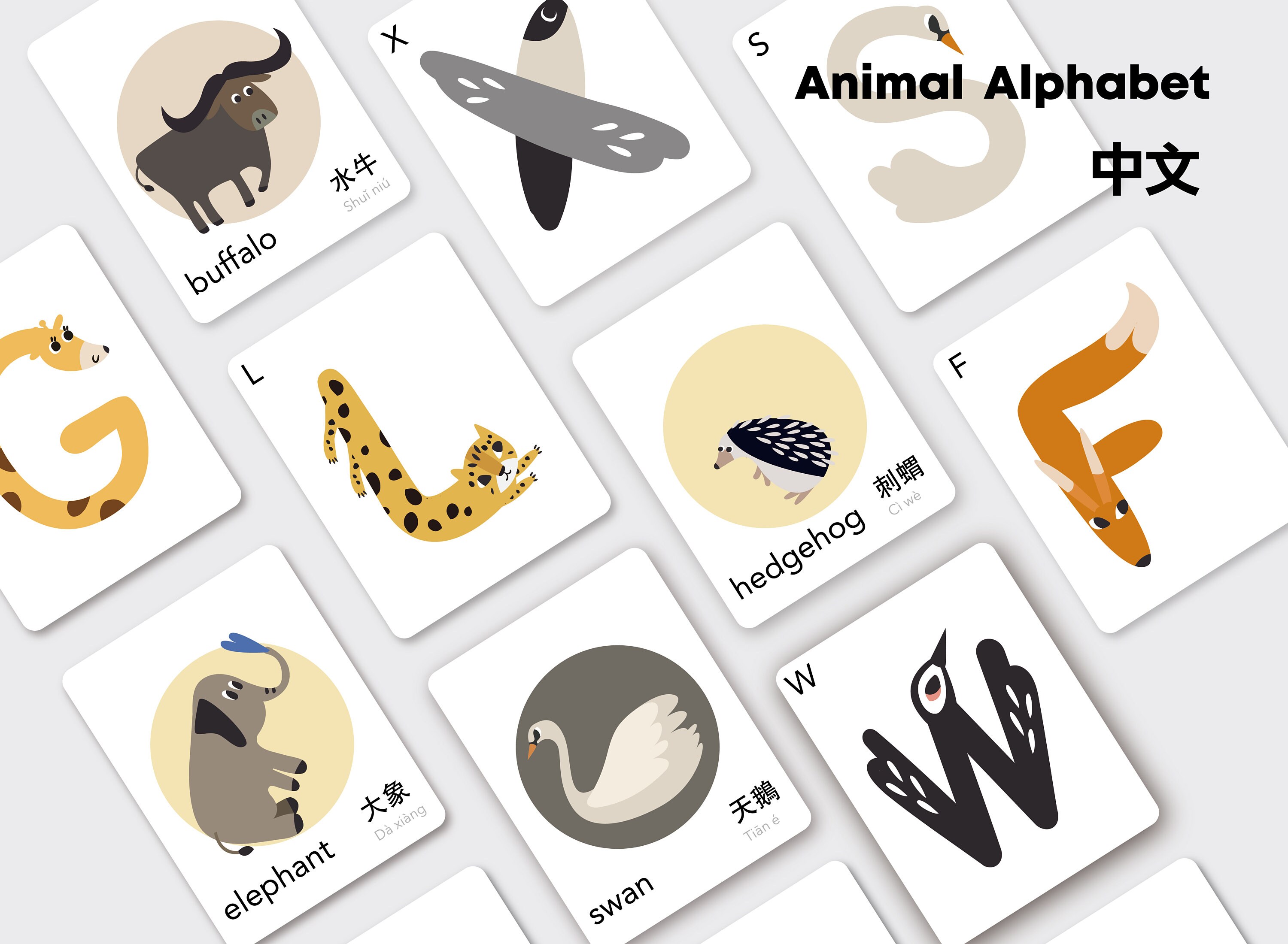 Animal Alphabet Card Set Bilingual Mandarin Chinese Etsy