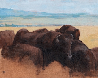 Original Oil painting of a group of buffalo standing in an open field, painted loosely with the buffalo fading to the raw canvas underneath