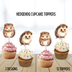 Decorazioni per cupcake a forma di riccio, tema animali del bosco per feste, simpatico riccio, tema foresta, decorazioni per compleanno bambini a forma di riccio, 12 pezzi, acquerello