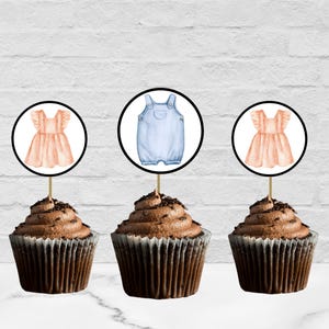 Baby Onesie and Dress Digital Cupcake Toppers, Gender Theme Party,Reveal is It a Girl Boy Toppers, Pink and Blue Printable Baby Clothes