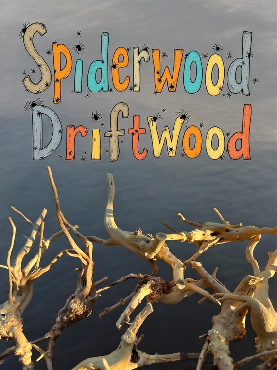 Spiderwood Driftwood Pre-Boiled and Ready for Aquarium, Marimo Mate Kit Accessory