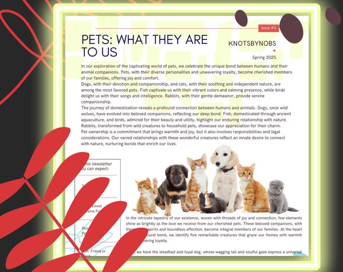 Pet Newsletter - How Animals Went from Being Wild to Domesticated and now, Our Friends - 19 informative pages download
