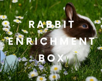 Kaninberikninglåda – Handgjorda leksaker för kaniner FRI FRAKT, bota dina kaniner med tristess med denna mystiska låda!