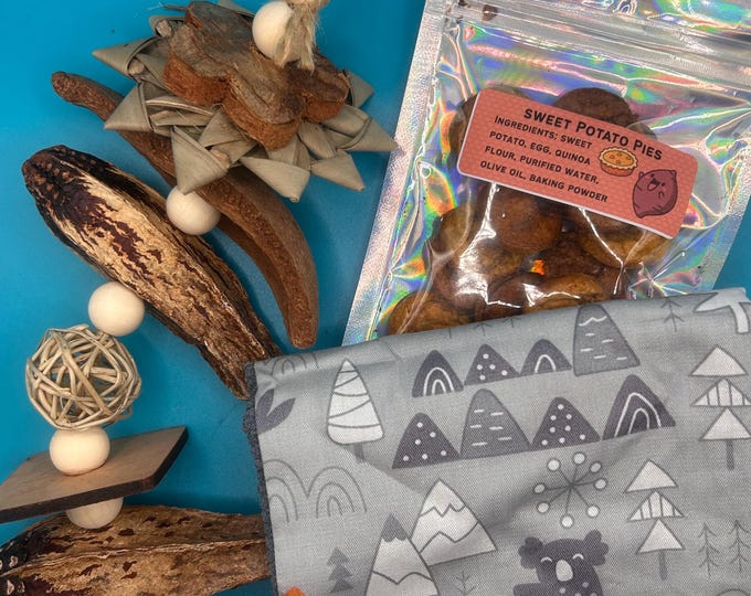 Small Animal Complete Care Bundle with Toys, Treats, and Hammock, Kit for Rats, Mice, Hamsters