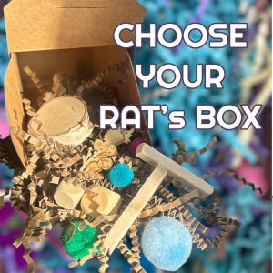 The Original Rat Foraging Box, rat-ready and 100% safe enrichment toys, FREE SHIPPING! Great toy for rats!