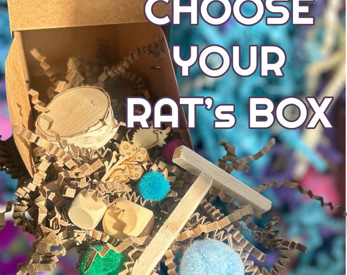The Original Rat Foraging Box, rat-ready and 100% safe enrichment toys, FREE SHIPPING! Great toy for rats!