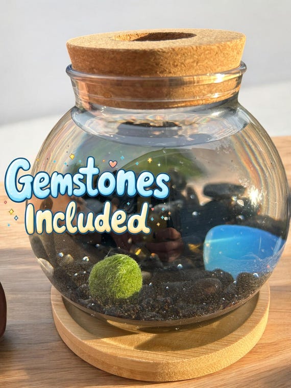 Marimo Mates, Japanese Algae Balls with Kits, 6-12 months old, alive and slowly growing “Freddie”