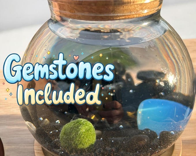 Choose Your Age Marimo Mates, Japanese Algae Balls with Kit, alive and slowly growing with Fish Style Bowl