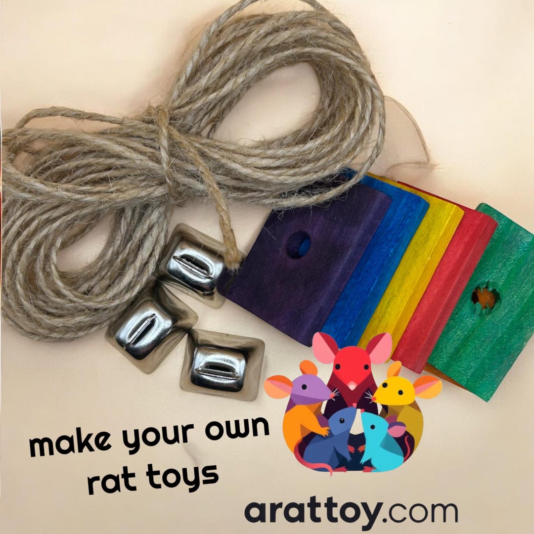 Rat Build Small Build Your Own Rat Toy, DIY Rat Toy Parts, All Natural, 7x7 Seagrass ...