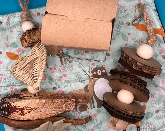 Rat Bundle with Toys and Hammock, Kit for Rats, Mice, Natural Enrichment “Forest Forage”