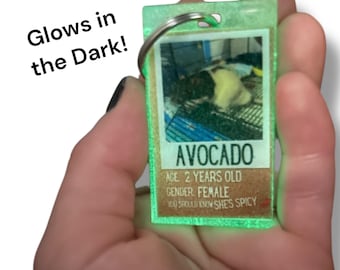 Personalized Small Animal Cage ID Tag: Resin Pet Name Card