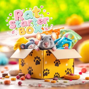 May include: A yellow cardboard box with black paw prints, labelled "Rat Starter Box" in colourful text, contains a grey rat and plush toys. The box is surrounded by colourful treats and sits on a light-coloured surface, with a blurred green background.