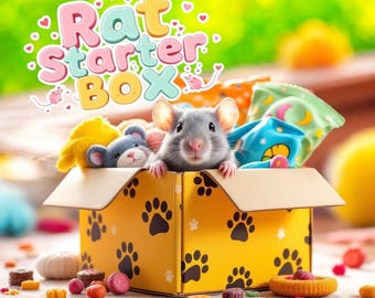 Starter Pet Rat Kit