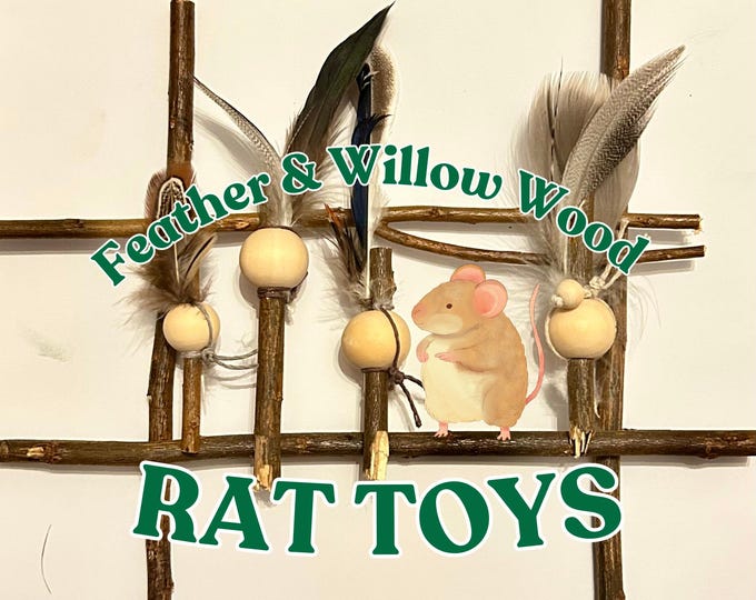 Natural Wood and Feather Toy for Rats
