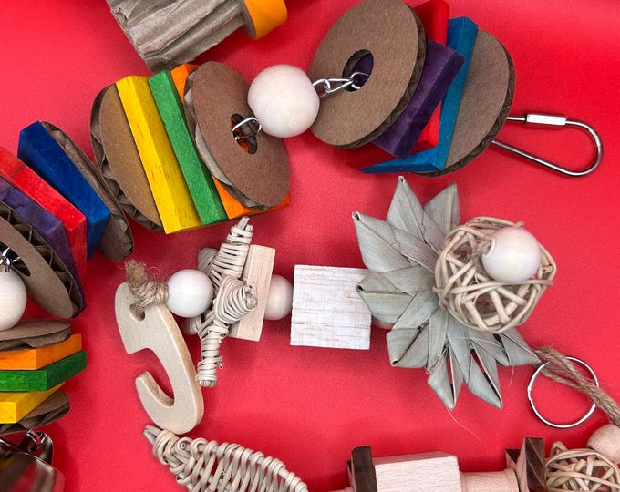 Small Animal Toy Bundle, Kit for Rats, Rabbits, Guinea Pigs, Mice, Hamsters - Natural Enrichment “The Toy Chest”