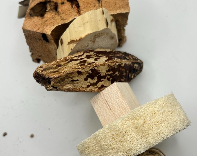 XL Forage Skewer Toy: Rat Enrichment, Pet Boredom Breaker