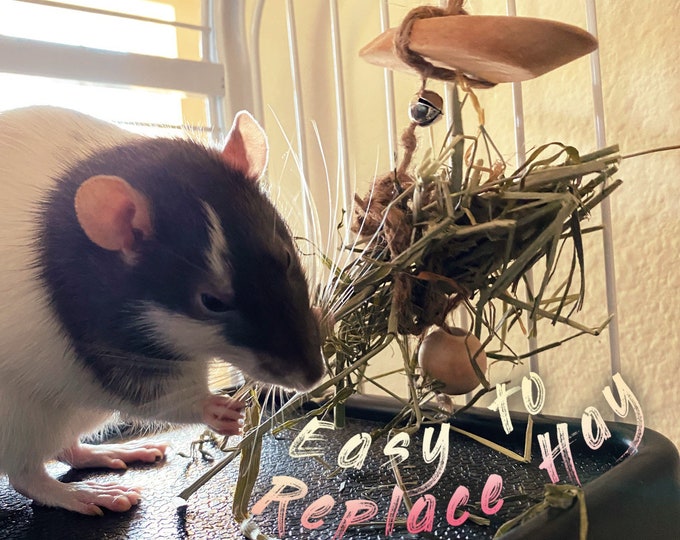 Hanging Refillable Hay Feeder with Driftwood Chew , small animal - rat, hamster, rabbit, Guinea pig toy