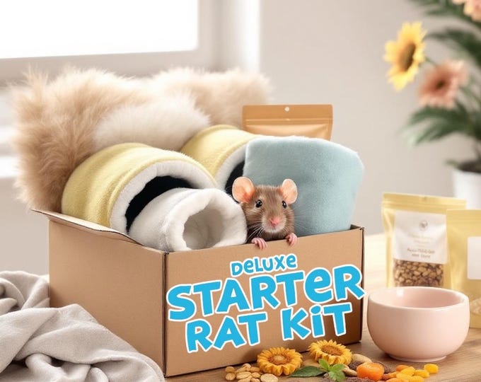 Deluxe Pet Rat Kit
