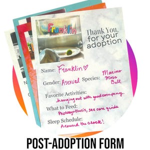 Post-Adoption Thank You Sheet, Get To Know Your New Pet Template, digital download