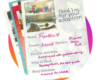 Post-Adoption Thank You Sheet, Get To Know Your New Pet Template, digital download