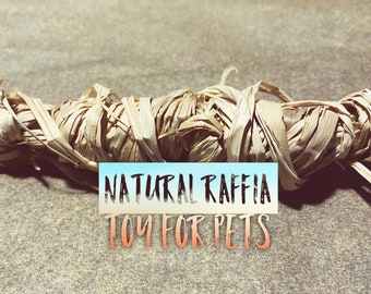 Natural Raffia Small Animal Toy: Braided Enrichment Chew Stick (4")