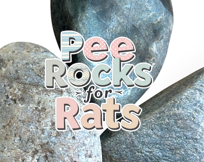 Rat Pee Rocks, set of 3 smooth, boiled, and ready to use for rat urine training