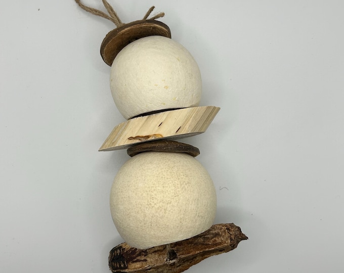 Small Animal Enrichment Toy: Coconut Shell, Yucca & Mahogany Pod