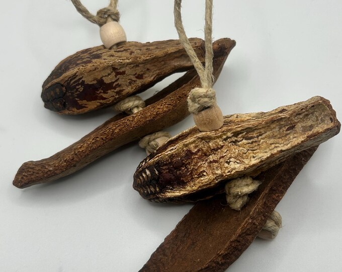 The Mahogany Pod Toy for Small Animals