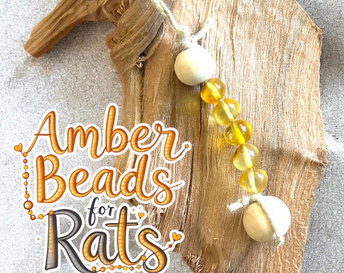 Amber Bead Toy for Rats, real amber chew toy
