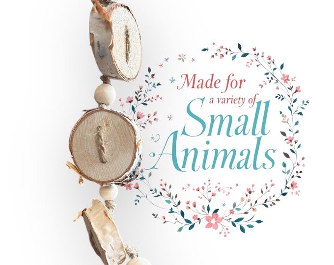 Small Animal Chew Toy
