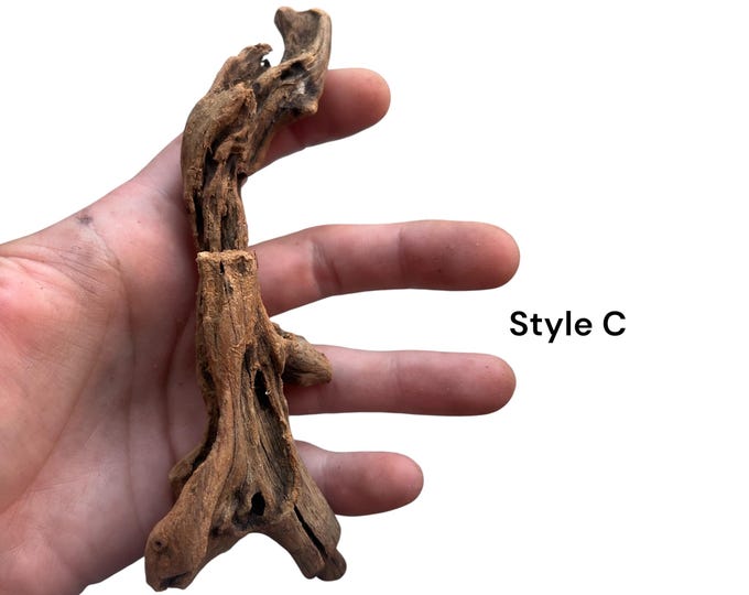 New! Treated Coral Driftwood Ready for Aquarium, Terrarium, Marimo Mate Kit Accessory, 5-7 inches