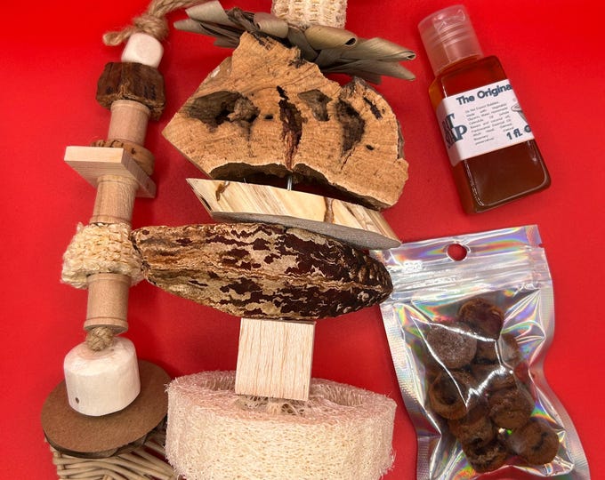 Rat Enrichment Bundle, Toys, Soap, Blueberry Chia Treats