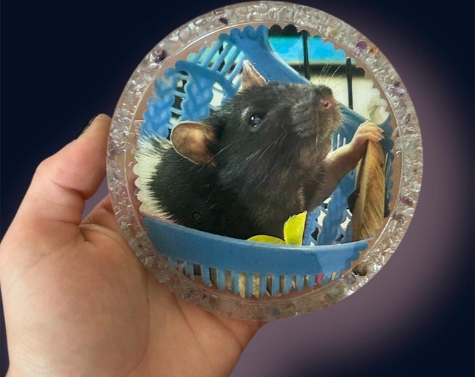 Personalized Pet Coaster, Circle Tray, custom with your pet picture & gemstones